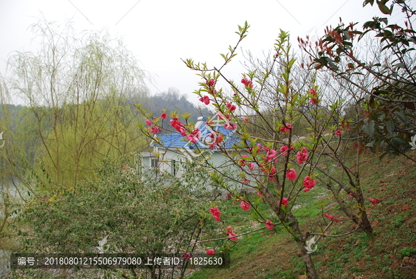 山水愚人岛风景
