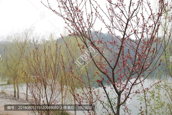 山水愚人岛风景