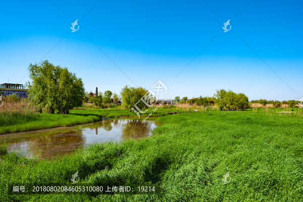 长江江岸