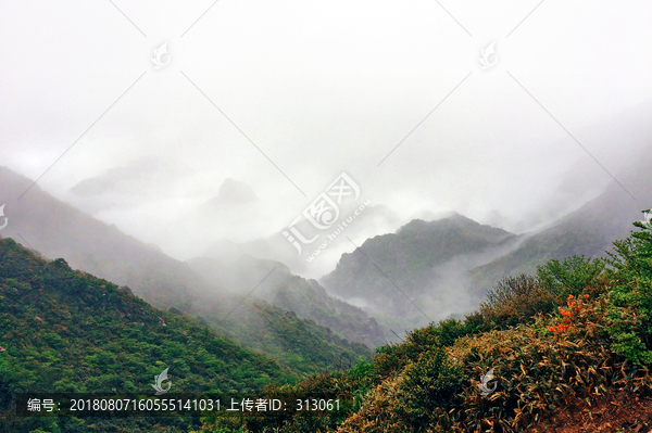 云雾缭绕的雁荡山
