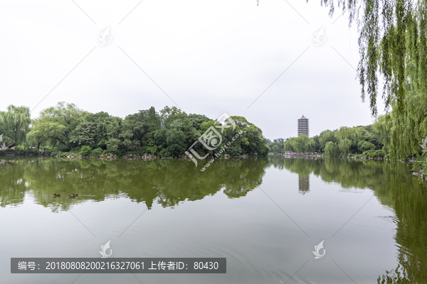 北京大学湖畔