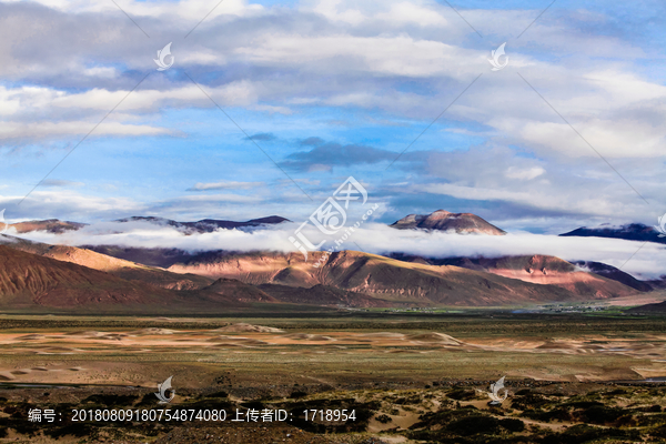 中国西藏阿里高原草原蓝天白云