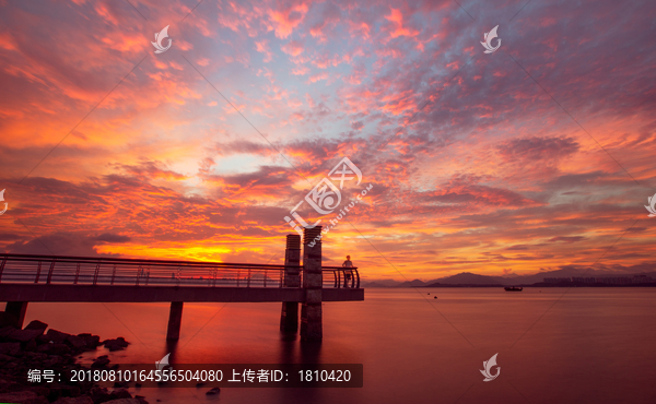 深圳湾晨曦