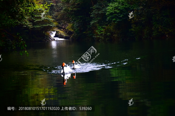 大峡谷