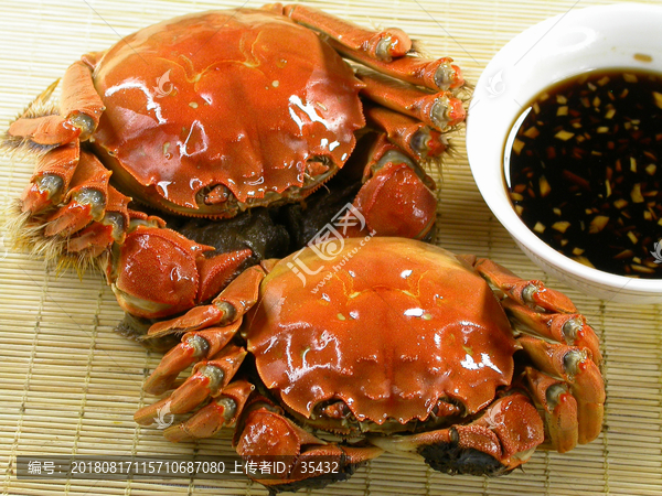 阳澄湖美食