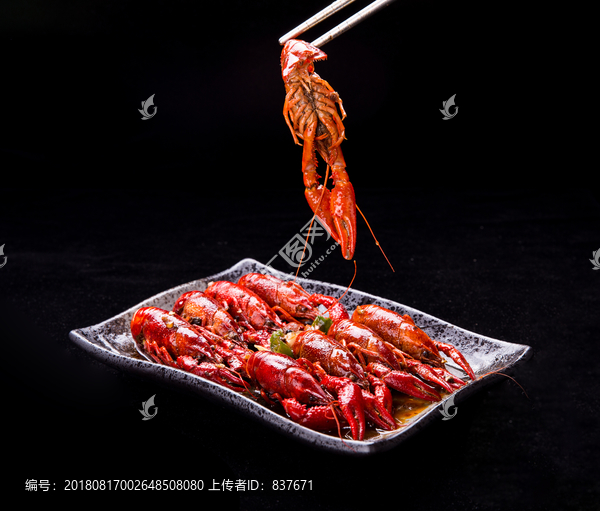 小龙虾创意拍摄