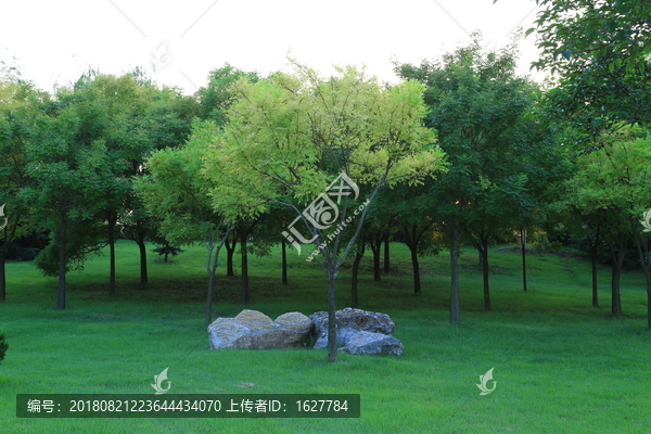 莒南县鸡龙河水利风景区