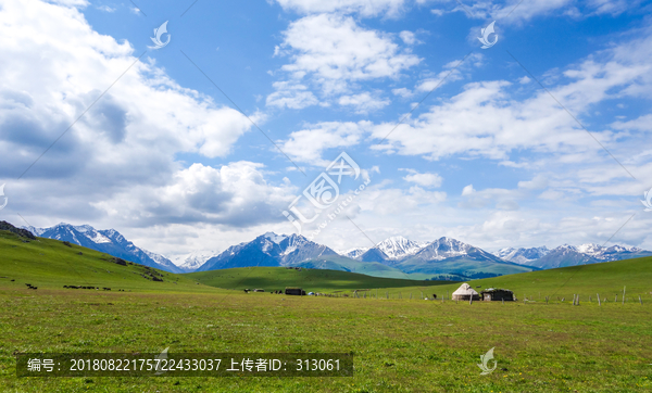 雪山草原蒙古包