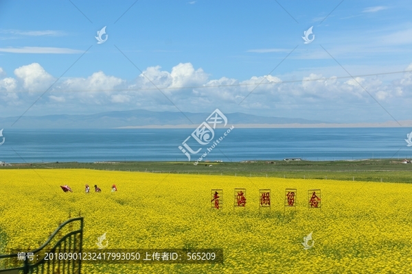 青海湖风景