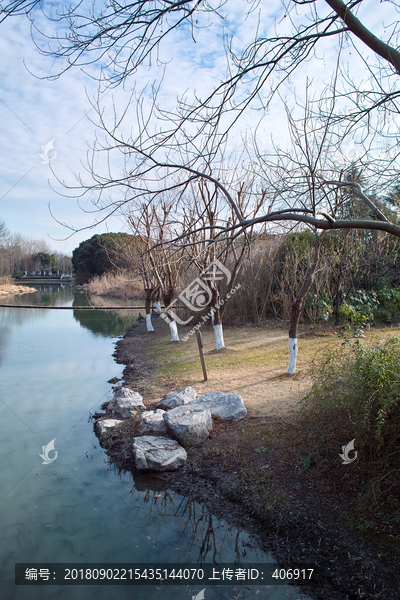 上海闵行黎安公园水景