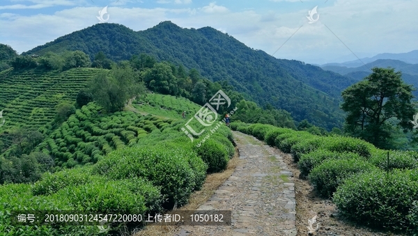 杭州十里琅珰山风景