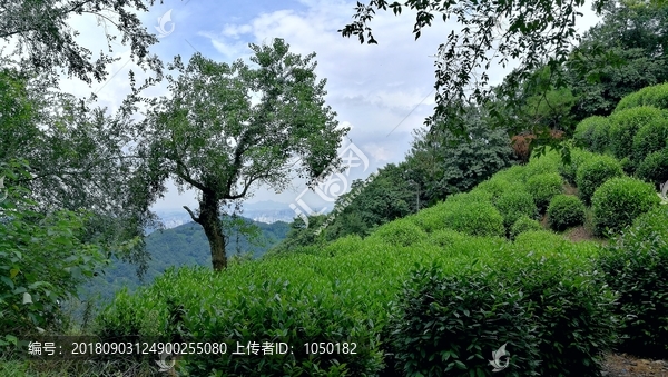 杭州十里琅珰山风景
