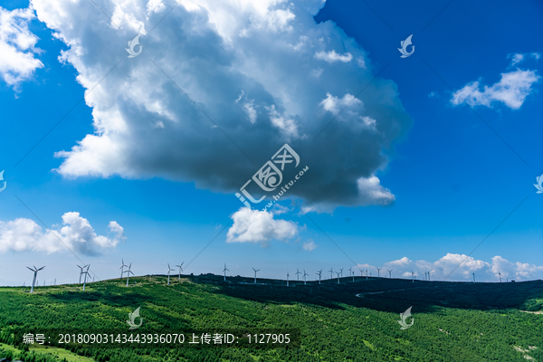 冰山梁