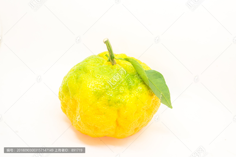 橘子素材