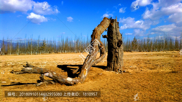 天漠影视基地