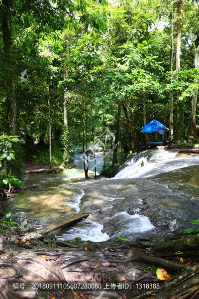 印尼热带森林河流