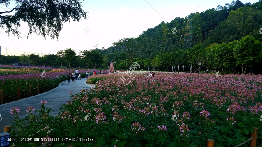 玉牌背面