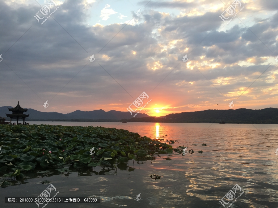 西湖集贤亭