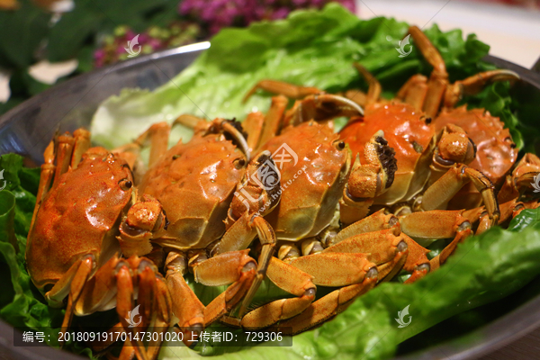 生菜螃蟹