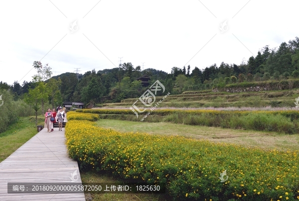 唐崖土司城