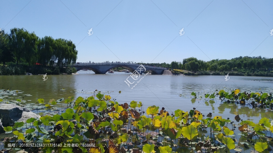 南海子湿地公园