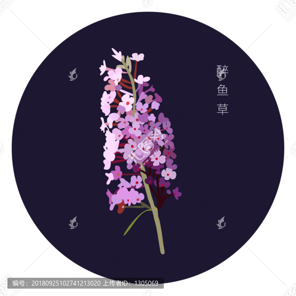 紫色花卉贴花醉鱼草
