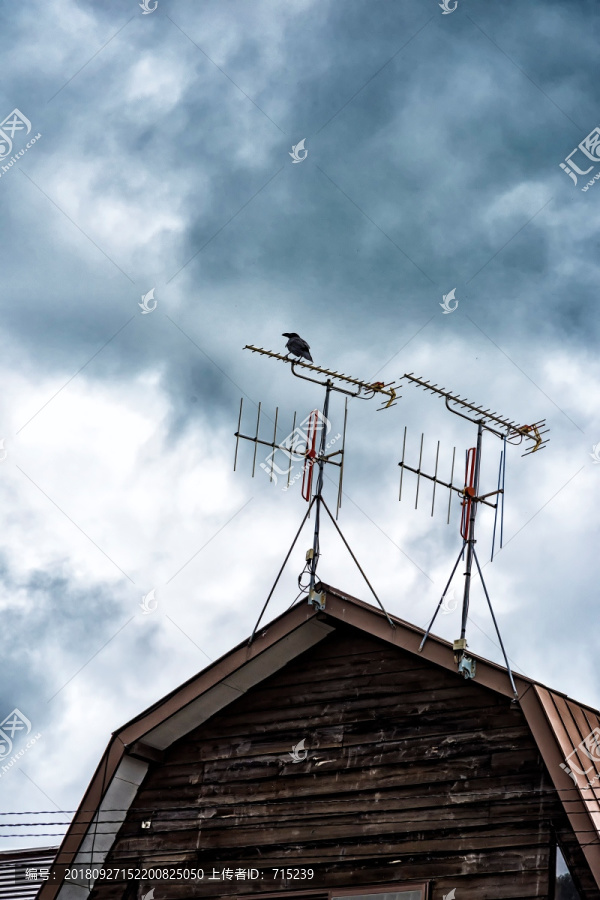 木屋顶上的电视天线和乌鸦
