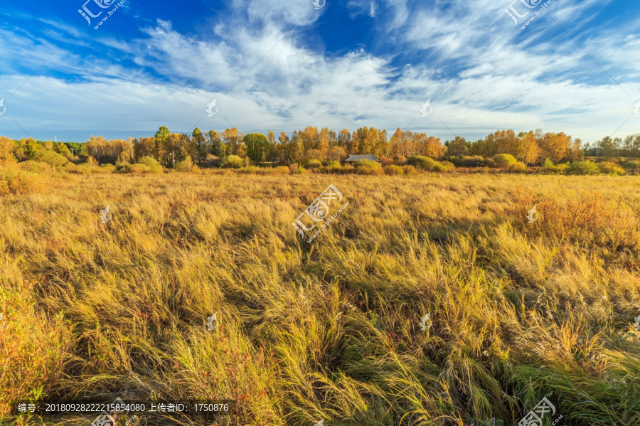 围场坝上草原的金秋景色