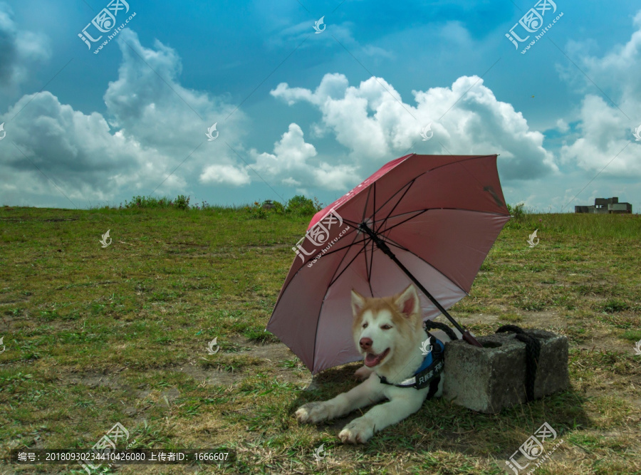 贵州高坡云顶苗寨