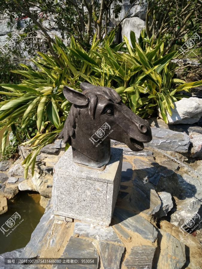 马生肖