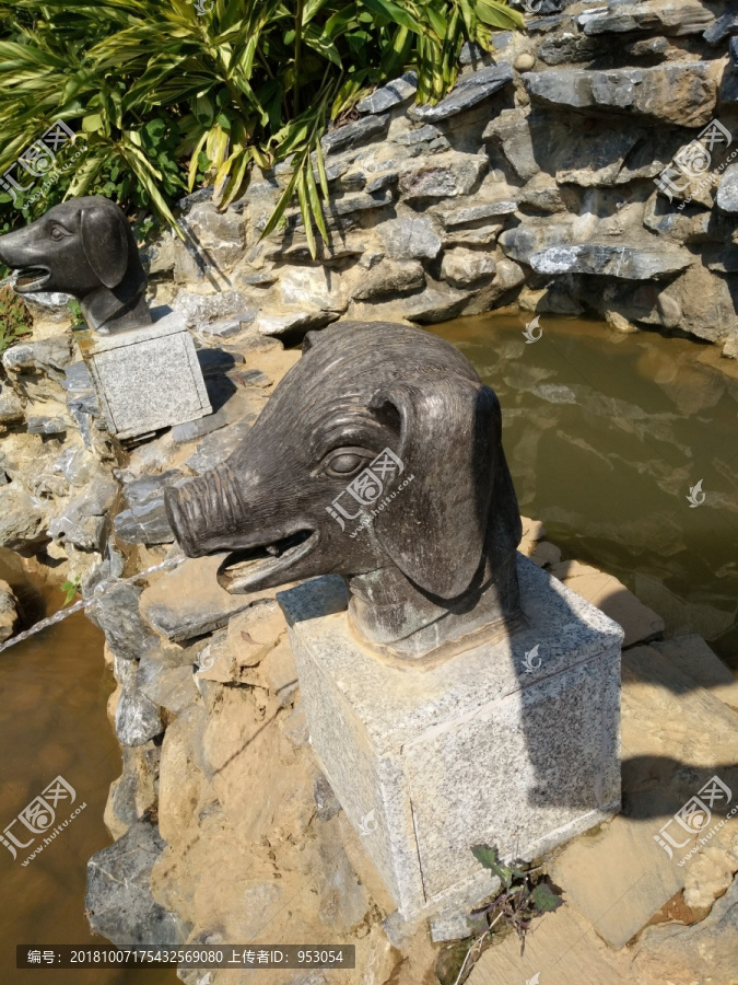 猪生肖
