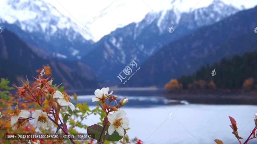 新疆天山天池风景区