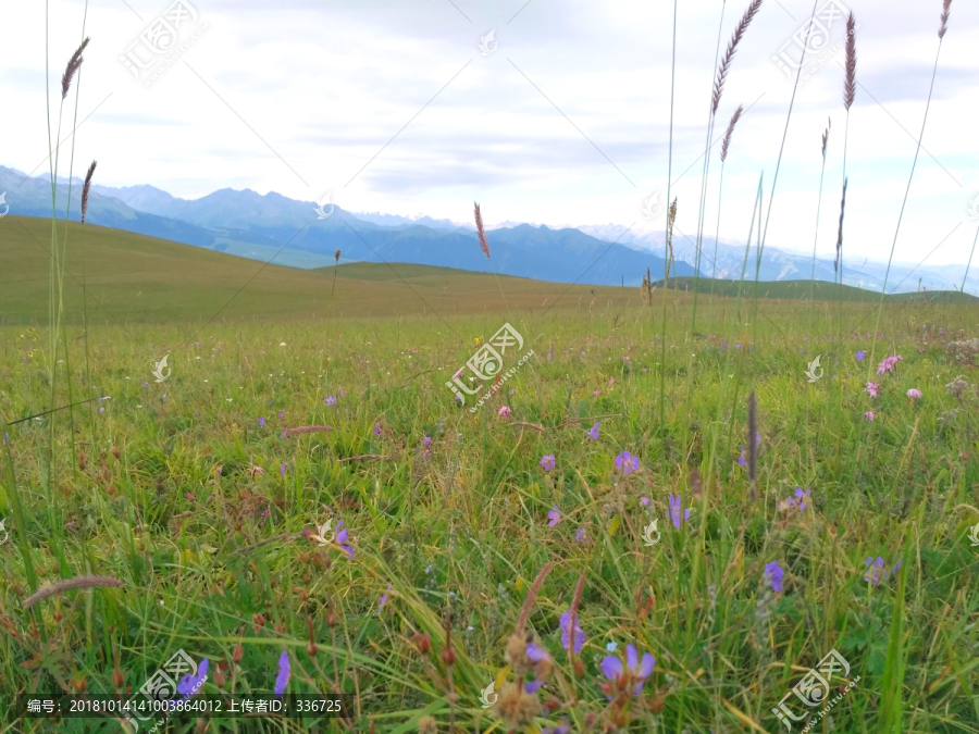 新疆喀拉峻草原自然风光