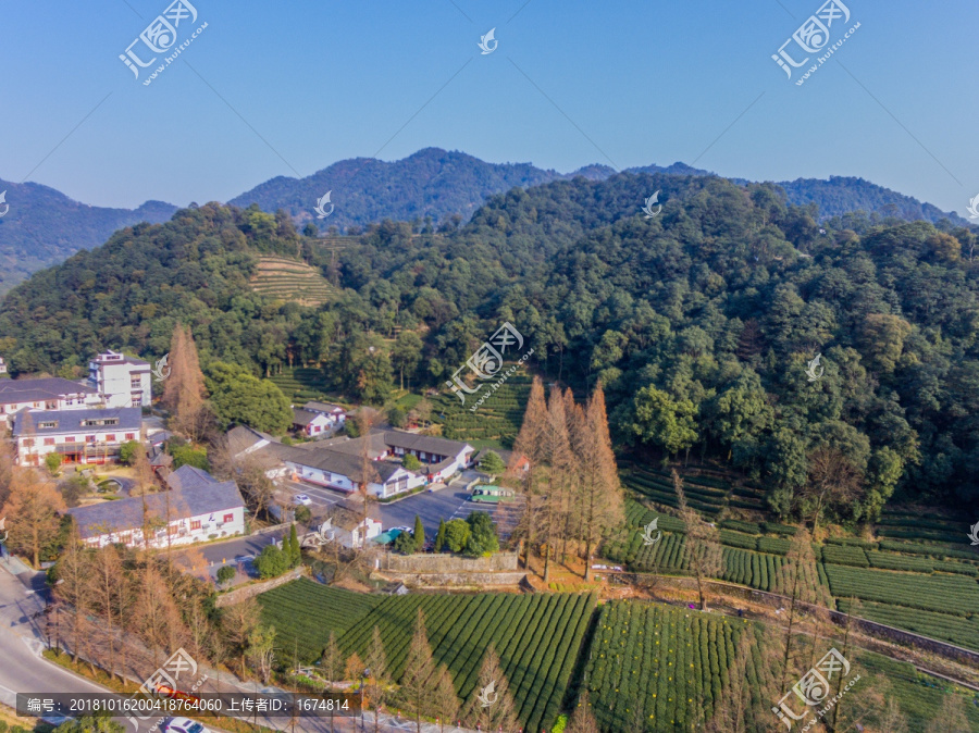 杭州西湖龙井茶园