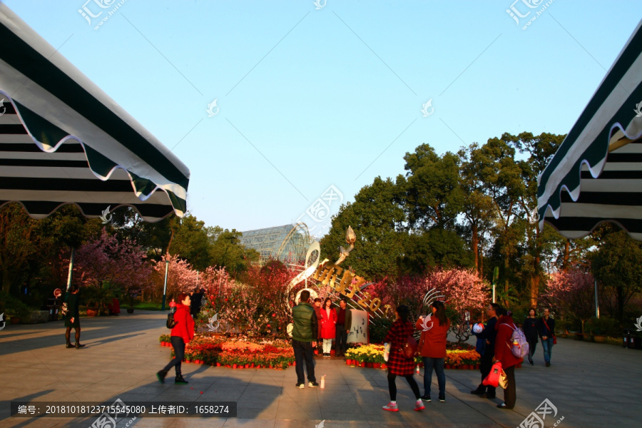 重庆南山植物园