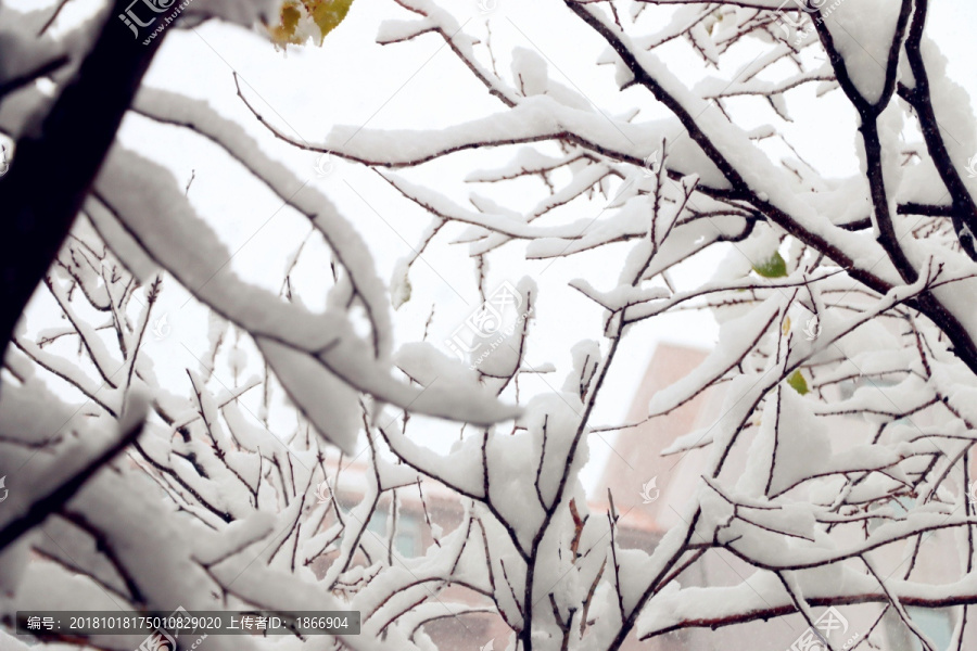 冰雪凝固的线条