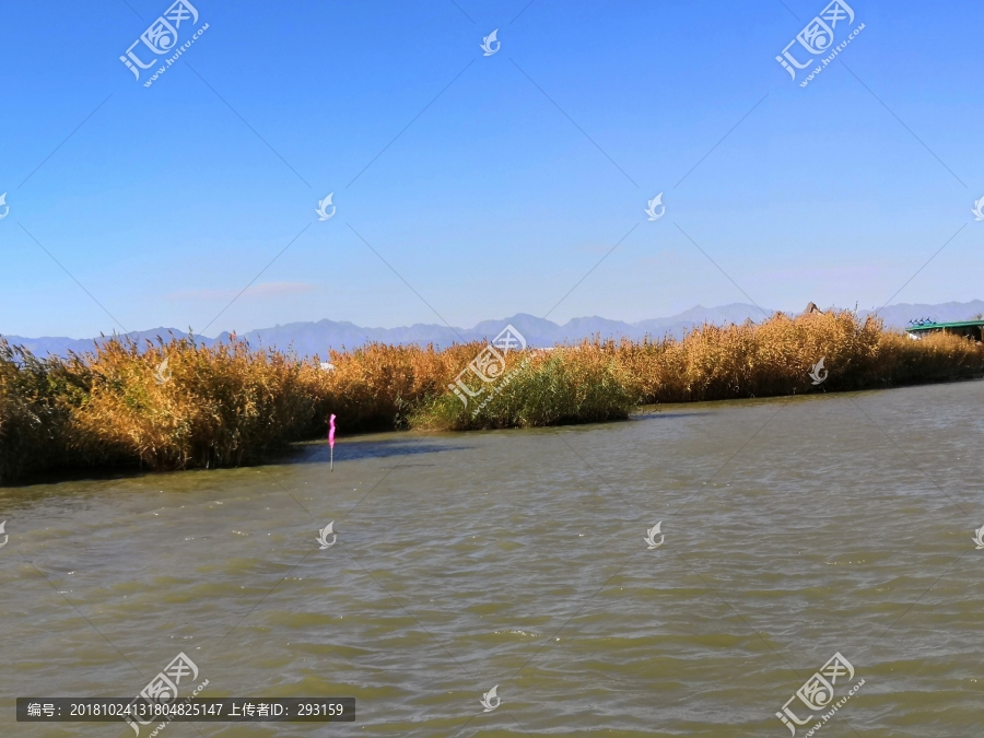 宁夏沙湖美景贺兰山水景,芦苇