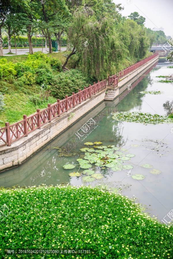 广州城市河涌绿化带