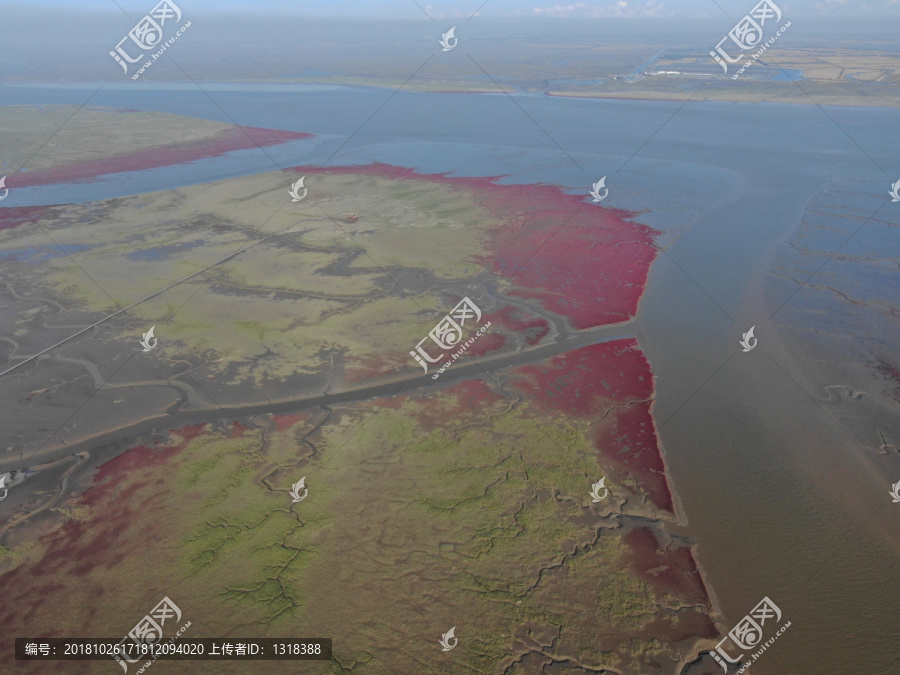 红海滩湿地航拍