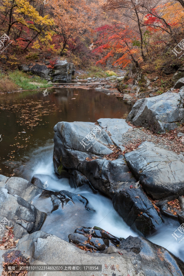 红叶秋色岩石流水自然景观43