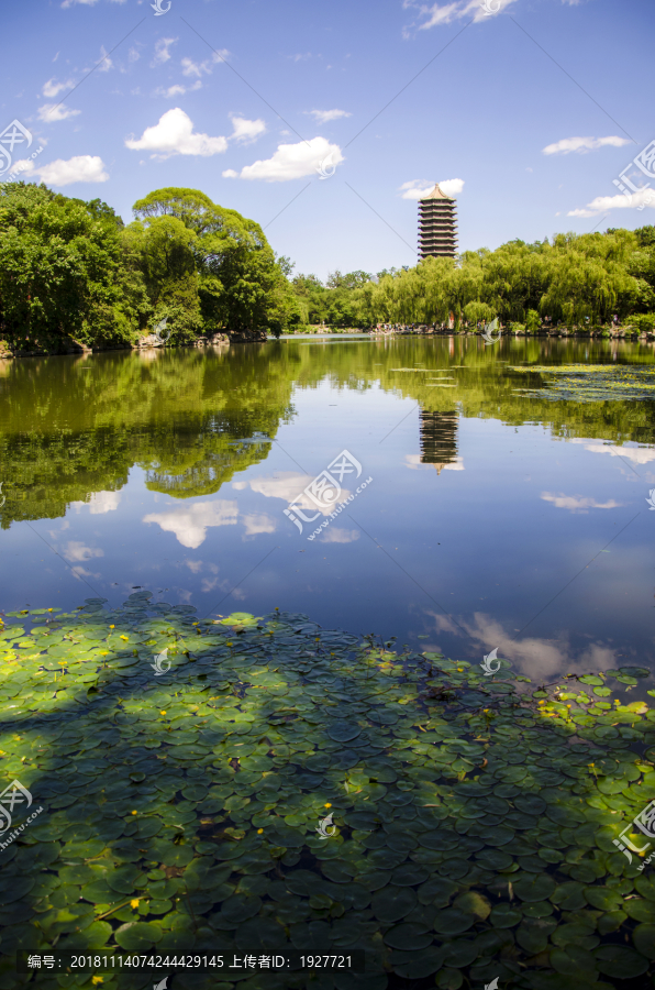 北京大学