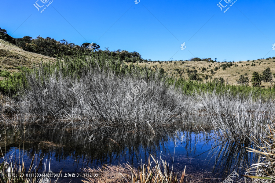 斯里兰卡霍顿平原枯草和蓝色水池