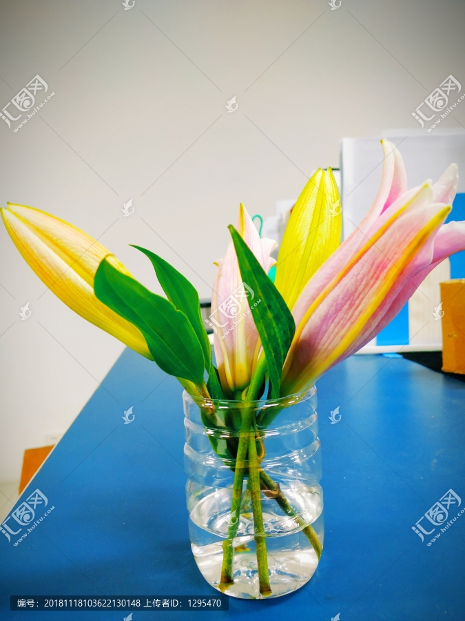 百合花
