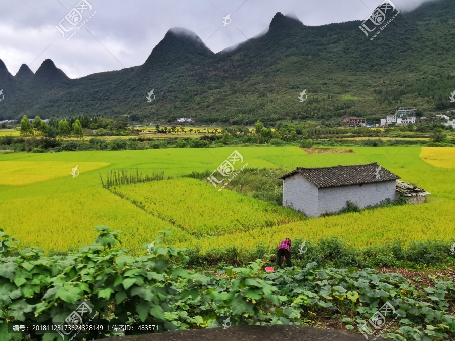 万峰林