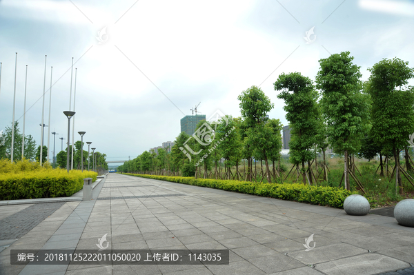 重庆西永广场生态绿地
