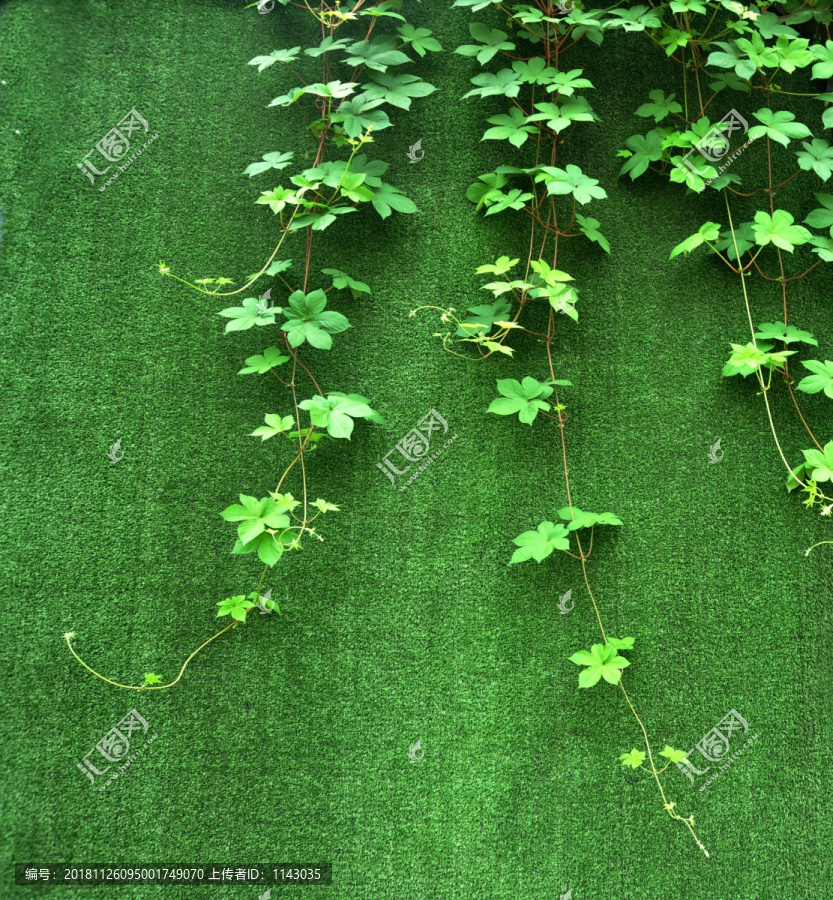 植物墙素材