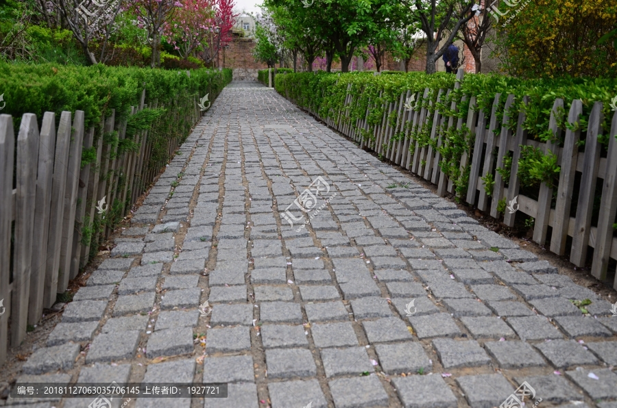 花园小路