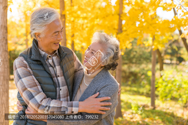 甜蜜的老年夫妻
