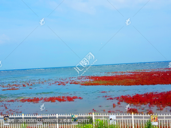 红海湾