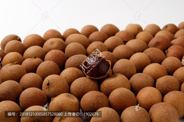 干桂圆素材